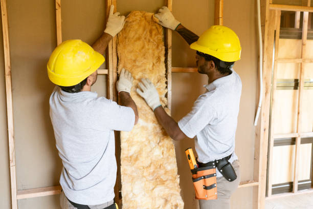 Best Cellulose Insulation  in Larkspur, CA