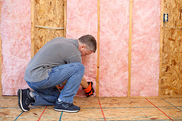 Best Best Insulation Companies  in Larkspur, CA