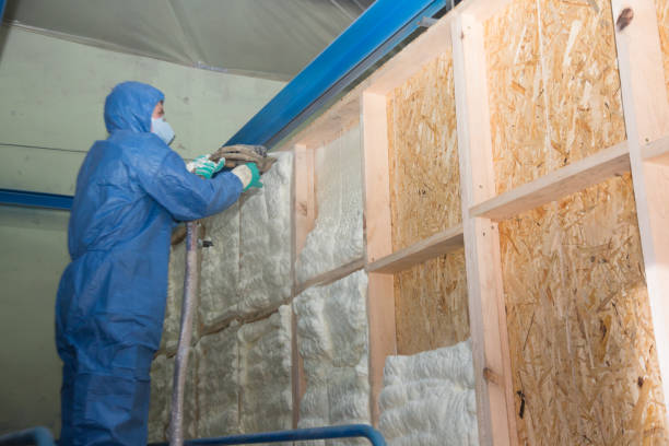 Best Insulation Contractors for Homes  in Larkspur, CA